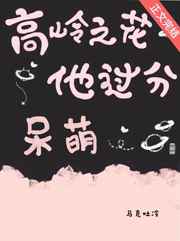全员加速中第一季完全版
