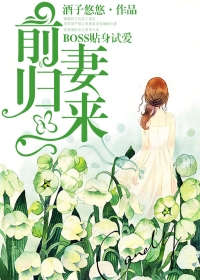 小燕子图片