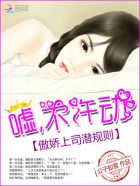 凤霸九天电视剧