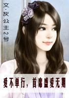 路从今夜白小说
