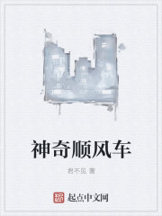 孕夫生子小说
