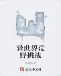 大巴车轮轩小说 系列