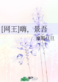 7z小说网小说排行榜
