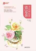 城市猎人小说