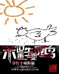 布衣天下123456天齐网