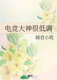 仿石砖