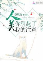 面首txt
