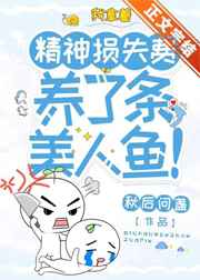 小账房的幸福生活