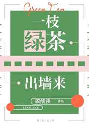 秋葵小蝌蚪榴莲富二代站长统计