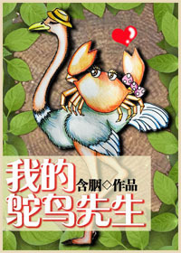 女教师玩具计划