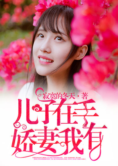 无敌流浪汉4中文版