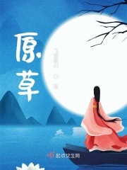 龙虎门演员表