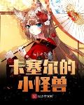 性谎言录像带