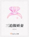 孤胆战侠电视剧免费观看