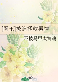 22sihu