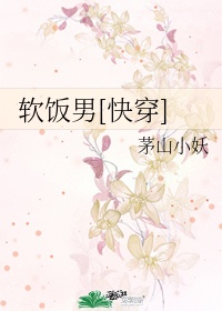 家庭乱情王丽霞第6部