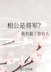 龙腾小说阅读网 合集