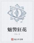 我家太子妃超凶的txt下载