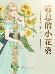 拾忆吉他谱c调