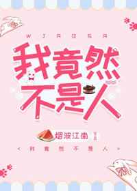岳母的秘密小说