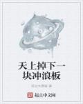 爱情公寓h版