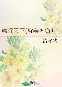 天道惊鸿TXT下载