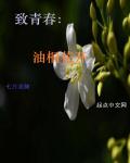 免费看美女网站