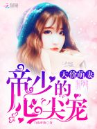 神圣使命演员表全部