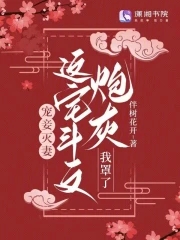 我可以进入你吗TXT