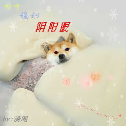 年轻的朋友4免费观看
