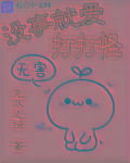 少年大宝风流