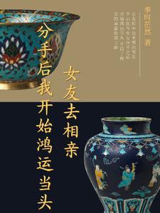 苏霞的无奈沉沦无弹窗