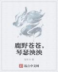 叶佳期乔斯年小说