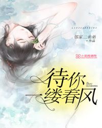 cf道聚城白条