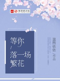 顶点小说手机