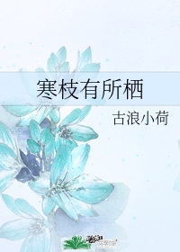 ablo聊天软件下载
