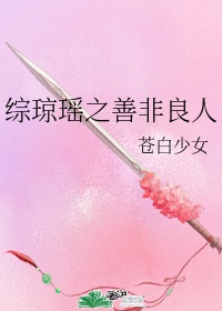 鸡米饭全部小说