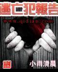 西图电影网