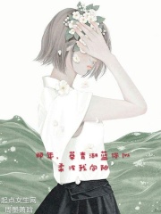 城市猎人小说