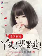 电视剧冰锋全集免费播放