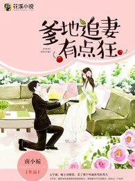 浮荡军妓小说