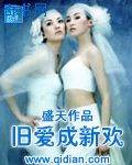 长篇乱岳小说