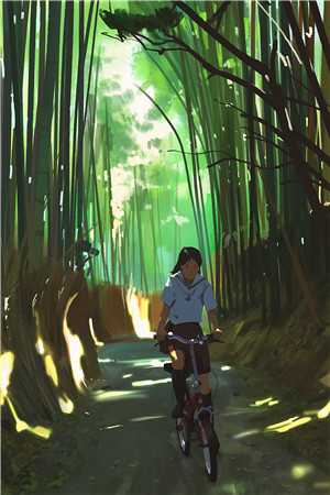 胶条