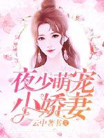 打黑风暴电视剧全集