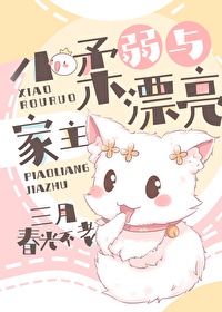 天堂电影在线免费观看入口