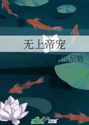 yy4080新视觉