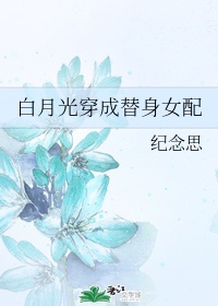 倒霉熊之茶杯旅行记