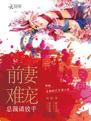 少年大宝风流