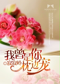 菊荡by蓝乖儿txt微盘