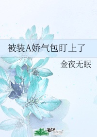 susanmiller小组